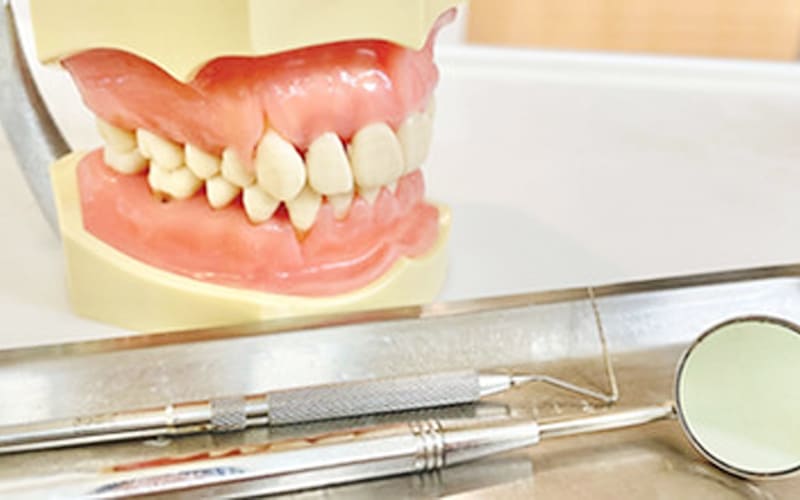 歯の模型と器具